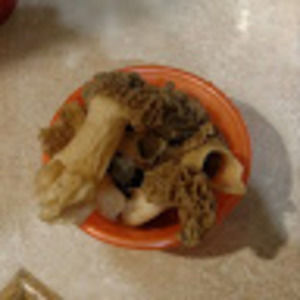 Meet your Posher, Nate